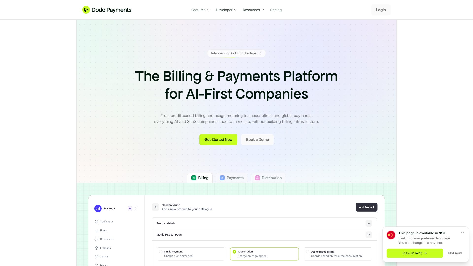 Dodo Payments public homepage source material